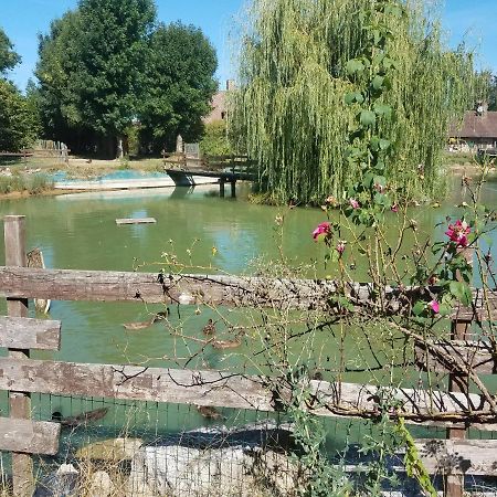 Ferme Bressane Les Arums Mervans Esterno foto