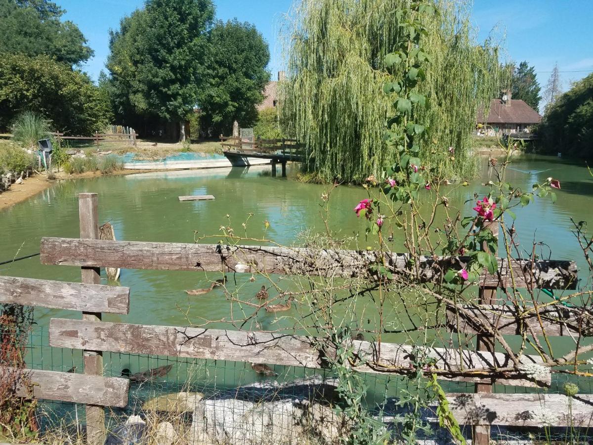 Ferme Bressane Les Arums Mervans Esterno foto