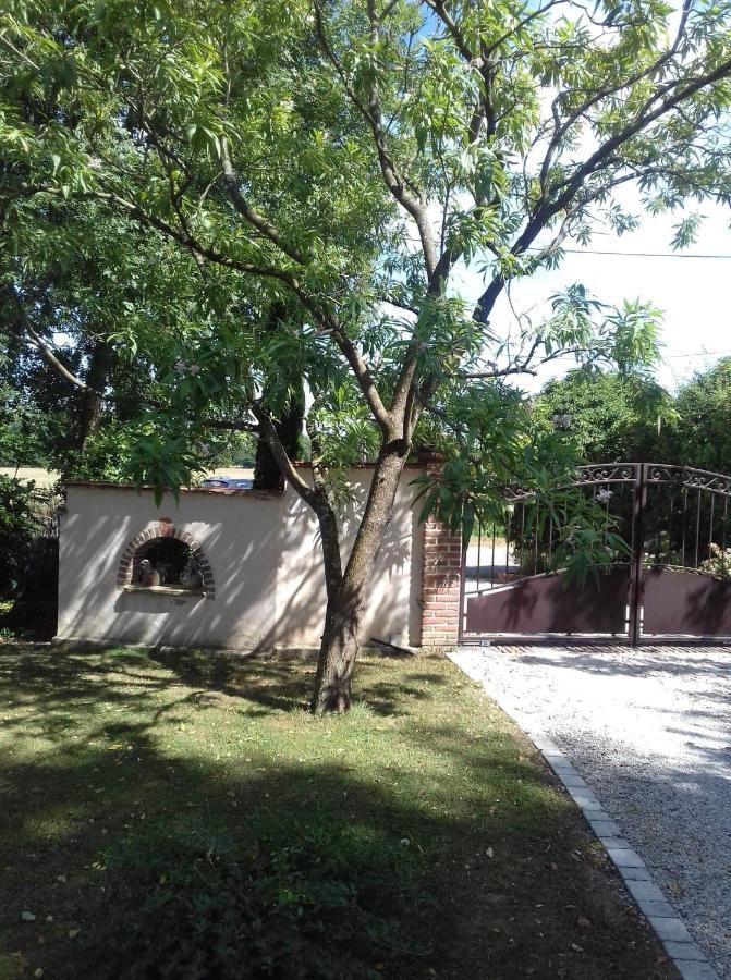 Ferme Bressane Les Arums Mervans Esterno foto