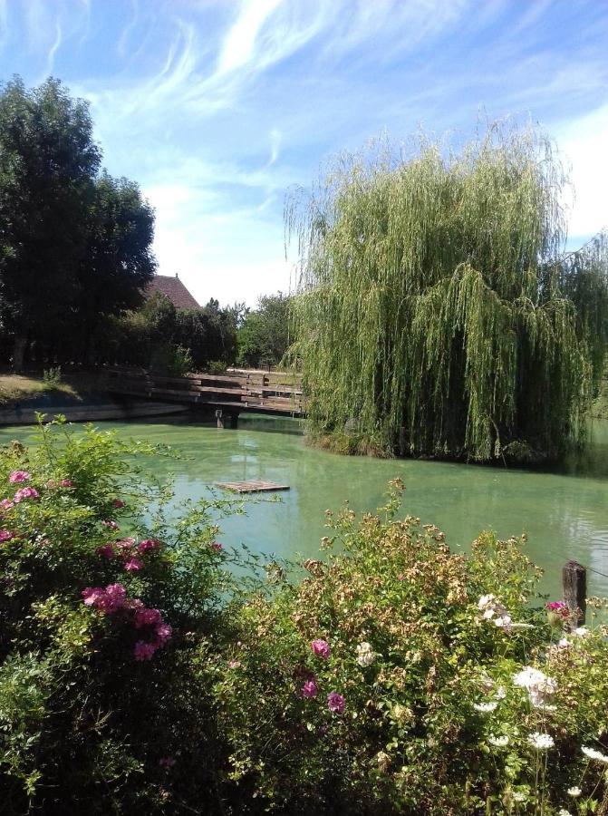Ferme Bressane Les Arums Mervans Esterno foto